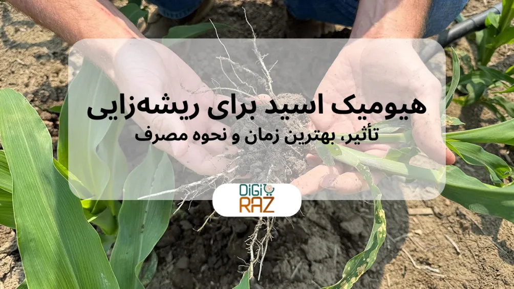 هیومیک اسید برای ریشهزایی