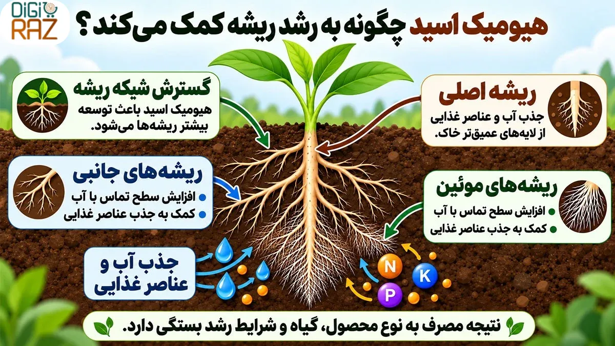 هیومیک اسید برای ریشهزایی؛ تأثیر، بهترین زمان و نحوه مصرف 3 بهترین زمان مصرف هیومیک اسید برای ریشهزایی