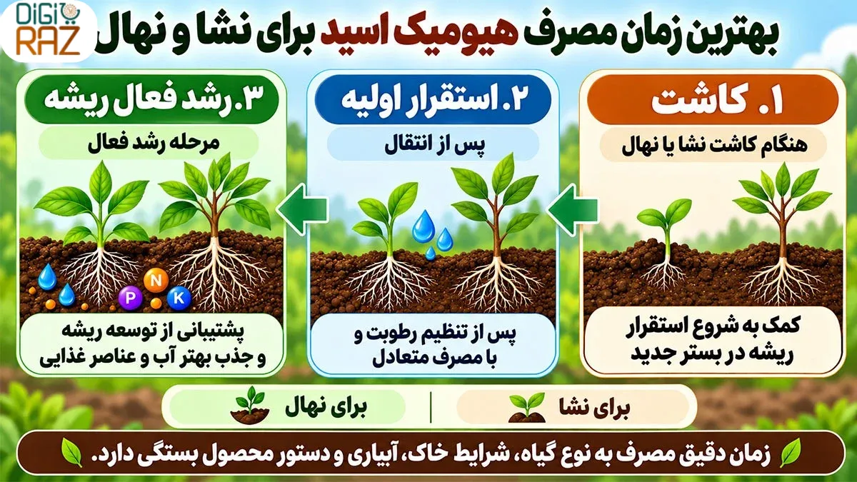 هیومیک اسید برای ریشهزایی؛ تأثیر، بهترین زمان و نحوه مصرف 6 آیا هیومیک اسید برای ریشهزایی قلمه مناسب است؟