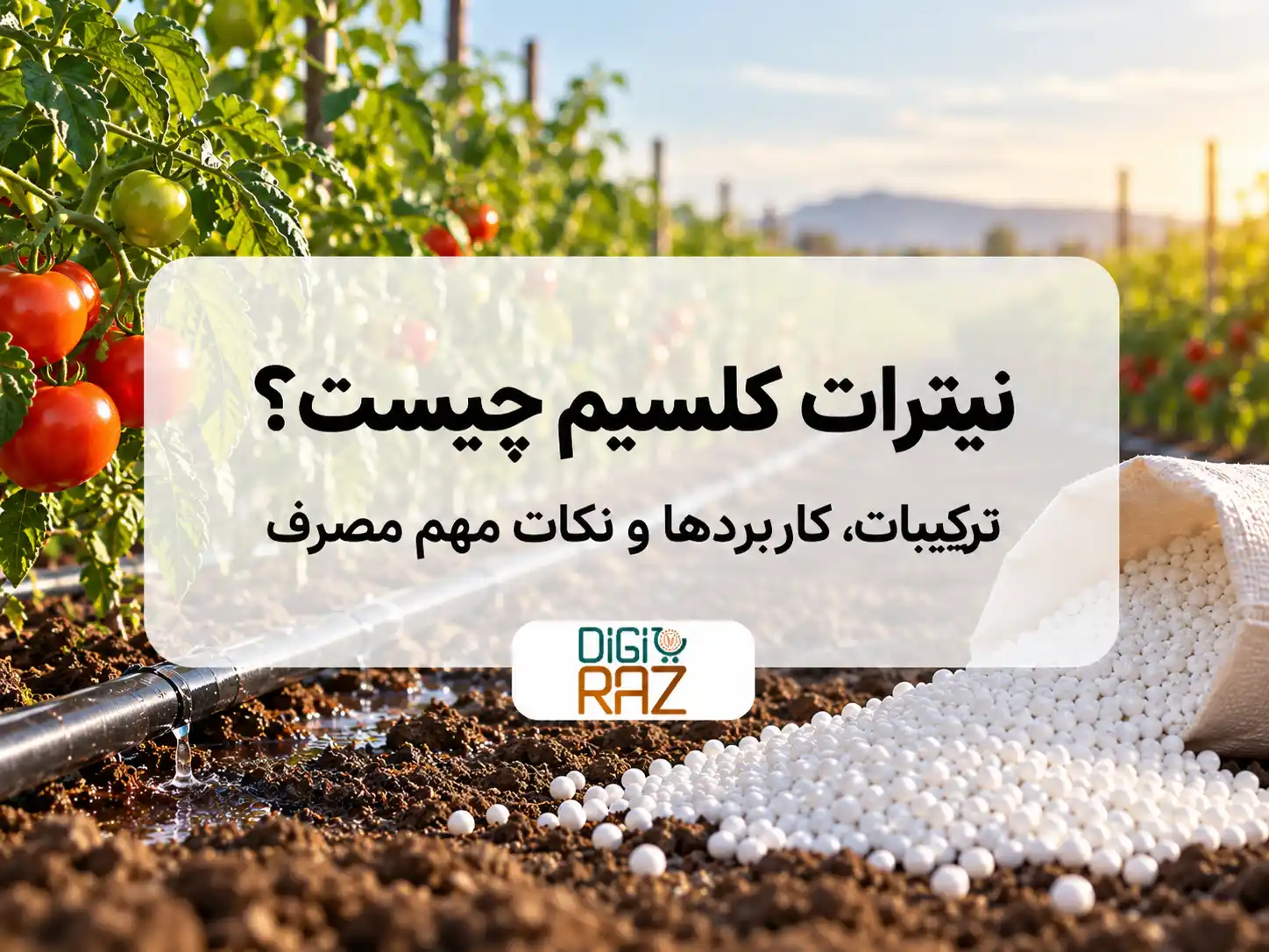 نیترات کلسیم چیست