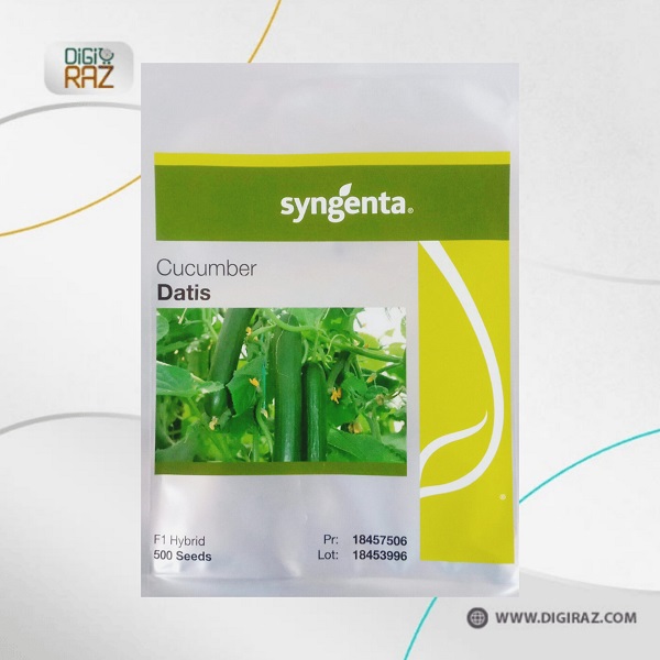 datis-cucumber-seeds1 بذر خیار گلخانه ای داتیس