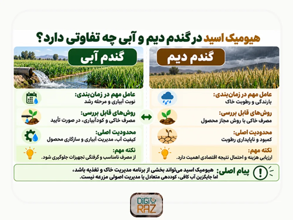 کود هیومیک اسید برای گندم؛ بهترین زمان، مقدار و روش مصرف در گندم دیم و آبی 6 تفاوت هیومیک اسید در گندم دیم و آبی