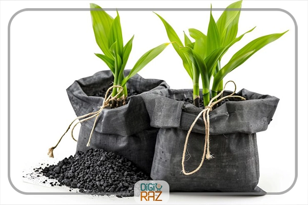 کلات آهن برای گیاهان