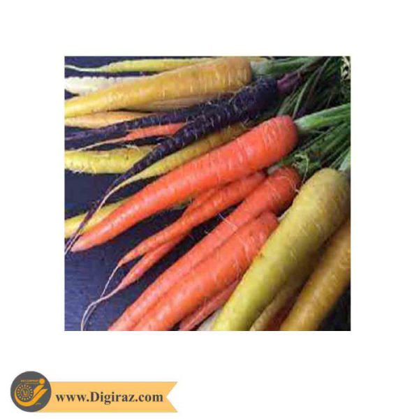 قیمت بذر هویج رنگی آذر سبزینه