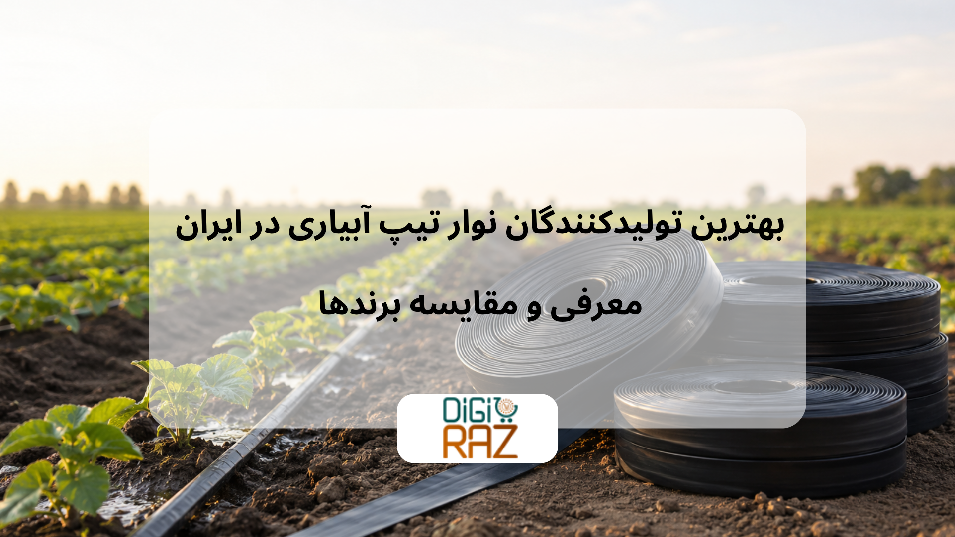بهترین تولیدکنندگان نوار تیپ آبیاری در ایران
