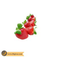 قیمت توت فرنگی مینیاتوری آذر سبزینه