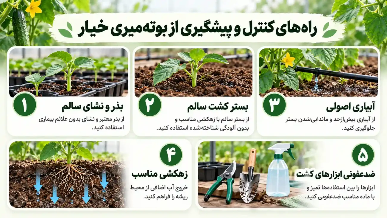 بوتهمیری خیار؛ علائم، علت و روشهای درمان 5 راهنما کنترل و پیشگیری از بوته میری خیار