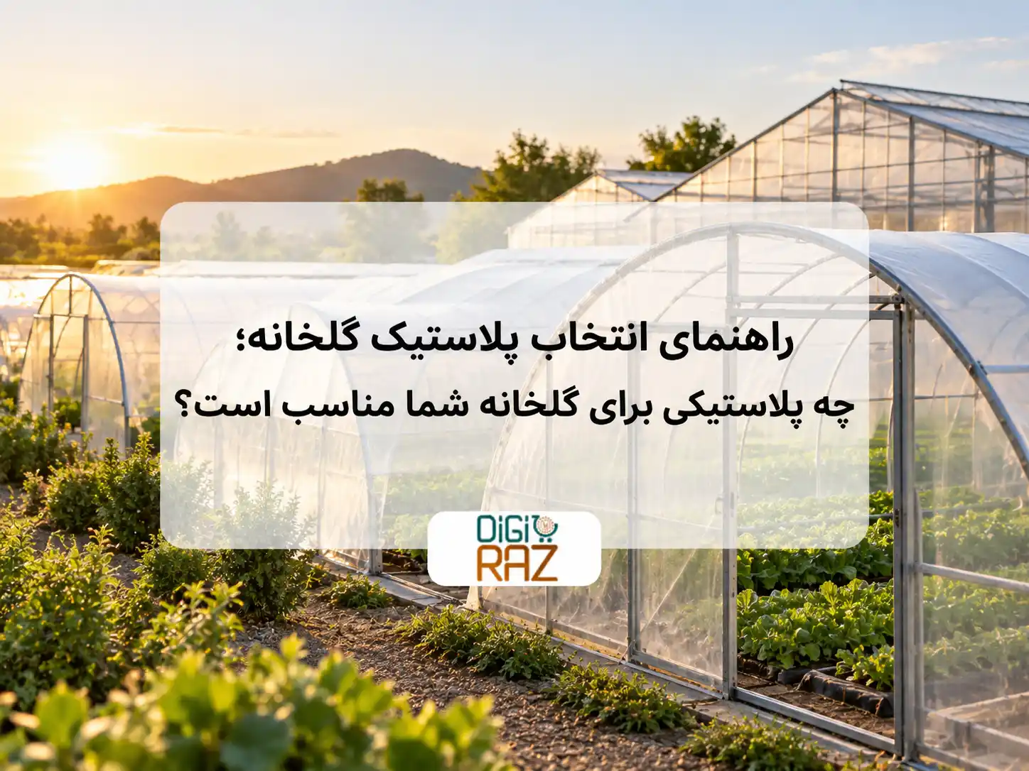 راهنمای انتخاب پلاستیک گلخانه