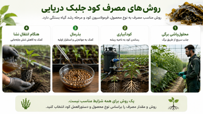 کود جلبک دریایی چیست؟ مزایا و خواص آن در کشاورزی 3 روش مصرف کود جلبک دریایی