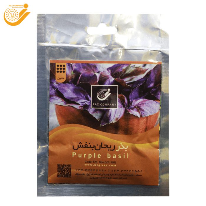 بذر ریحان بنفش رز