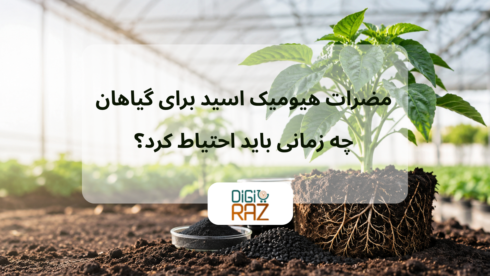 مضرات هیومیک اسید برای گیاهان
