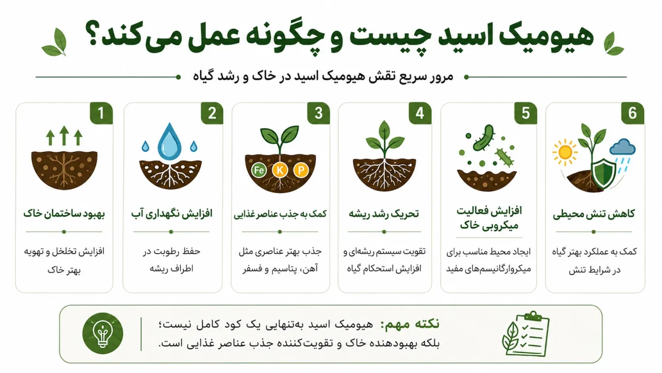 هیومیک اسید برای چه گیاهانی مضر است؟ بررسی کامل مزایا و مضرات 1 نحوه عملکرد هیومیک اسید و بررسی اینکه هیومیک اسید برای چه گیاهانی مضر است