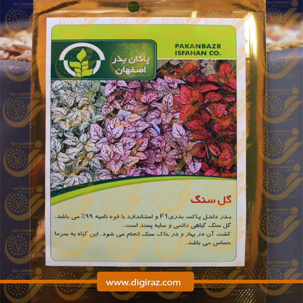 بذر گل سنگ پاکان بذر اصفهان