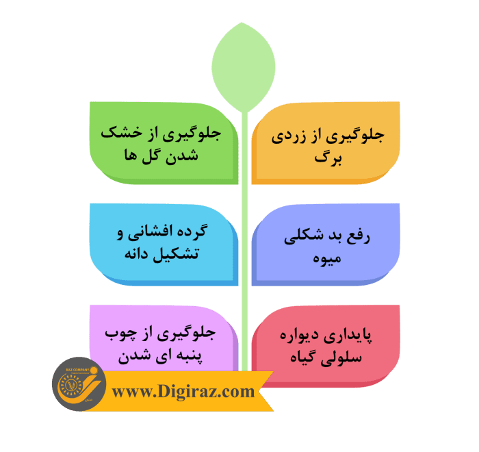 کود بور مایع هیدرابور 1 کاربرد کود هیدرا بور