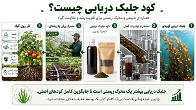 کود جلبک دریایی چیست؟ مزایا و خواص آن در کشاورزی 1 کود جلبک دریایی چیست؟