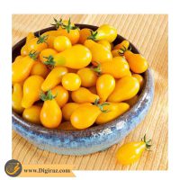قیمت گوجه زیتونی زرد درختی آذر سبزینه