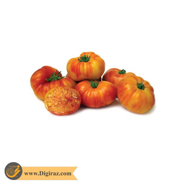 قیمت گوجه غول پرتغالی درختی آذر سبزینه