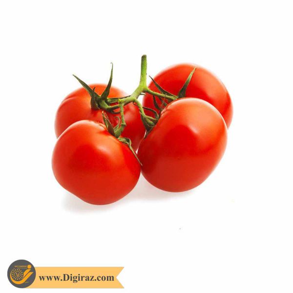 قیمت گوجه فرنگی قرمز درختی آذر سبزینه