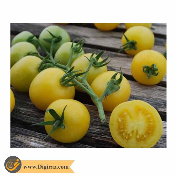 قیمت گوجه کبابی زرد درختی آذر سبزینه