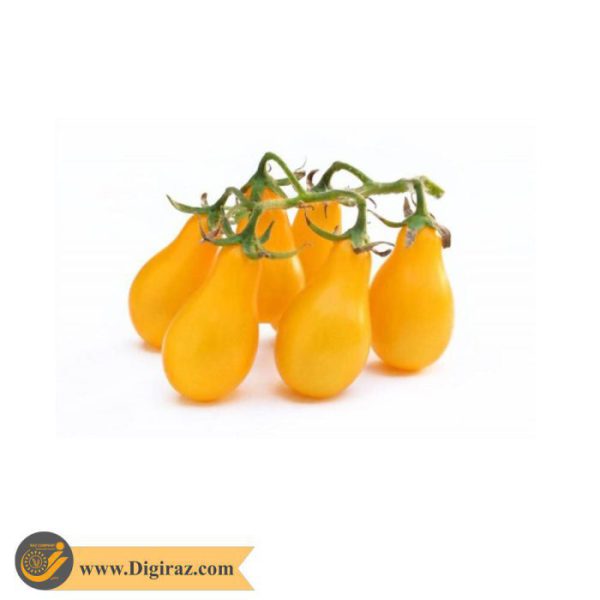 قیمت گوجه گلابی زرد درختی آذر سبزینه