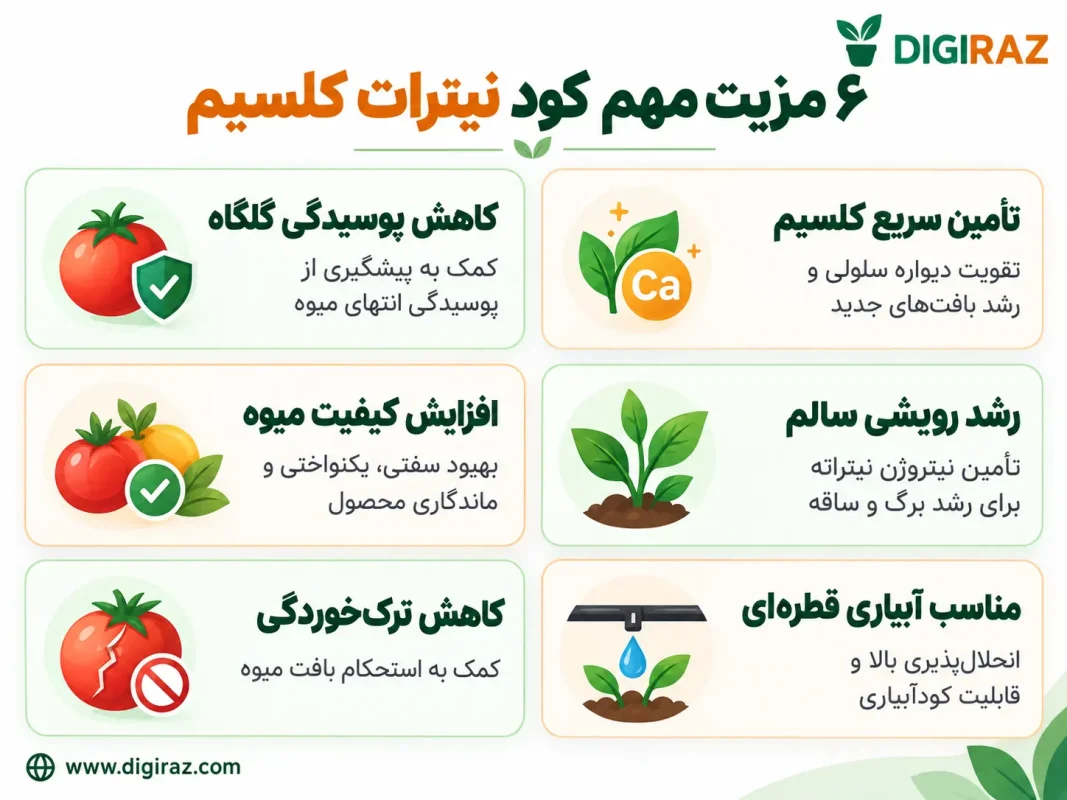 ۶ مزیت کود نیترات کلسیم